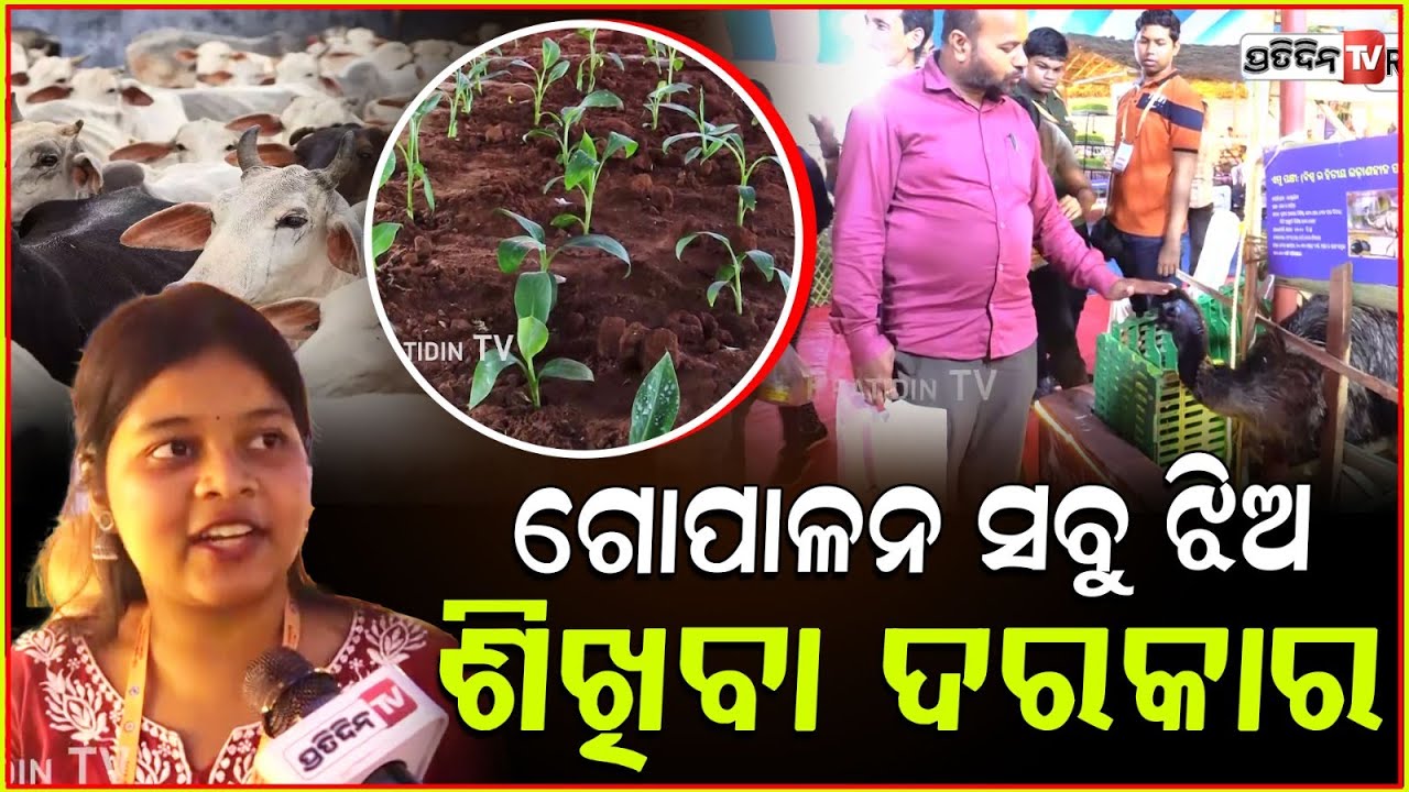 ଗୋପାଳନ ସବୁ ଓଡ଼ିଆ ଝିଅ ଶିଖିବା ଦରକାର। matsya o prani sampad mela in Bhubaneswar.