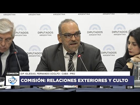 COMISIÓN EN VIVO: RELACIONES EXTERIORES Y CULTO - 26 de junio 2024 - Diputados Argentina