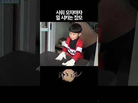 <strong>사위</strong> 오자마자 힘 쓰는 일 시키는 장모