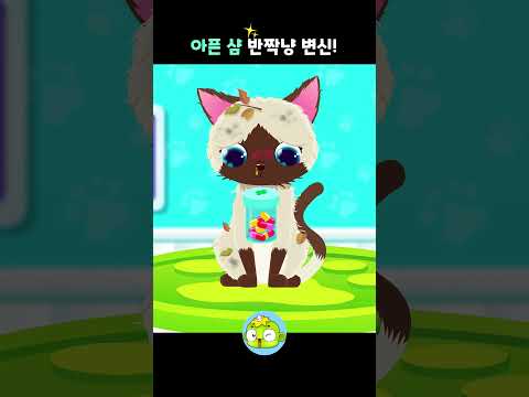 샴고양이를 구해줘 | 마크의 동물병원 | 깨비키즈 #shorts