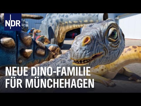 Themenpark Münchehagen: Neue Saurier für den Dinopark | Die Nordreportage | NDR Doku