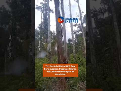 TNI Bantah Klaim KKB Soal Penembakan Pesawat Gibran: Tak Ada Penerbangan ke Yahukimo