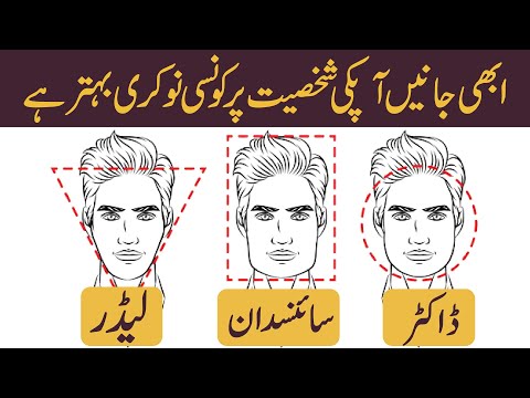 Yeh wali nokari apko karni chahie? - Hamza Javed