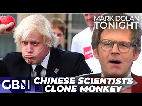 'SHIVERS' - Chinese scientists CLONE monkey
