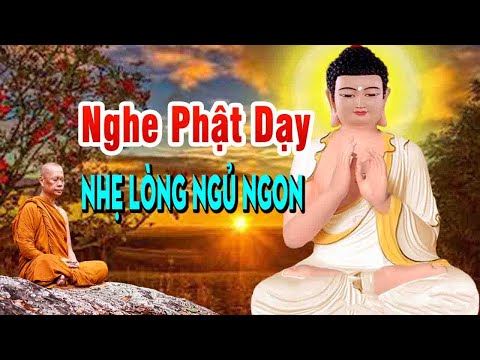 Mỗi Đêm Nghe"người lạc quan và vui vẽ may mắn đang chờ họ"Nghe Ngủ Ngon"Tâm Giác Ngộ