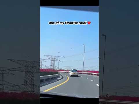 #dubai #bougainvillea #dubairoad #satisfying #yt #shorts