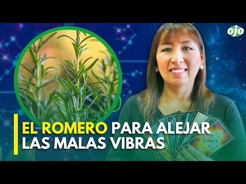 RITUAL CON PLANTAS:  EL ROMERO para alejar las malas vibras  | AMATISTA