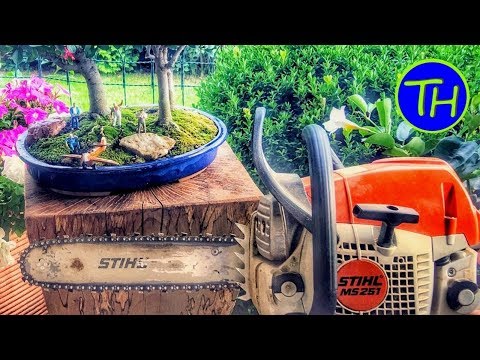 Beautiful Bonsai Woodwork Stand DIY with STIHL 251 Chainsaw