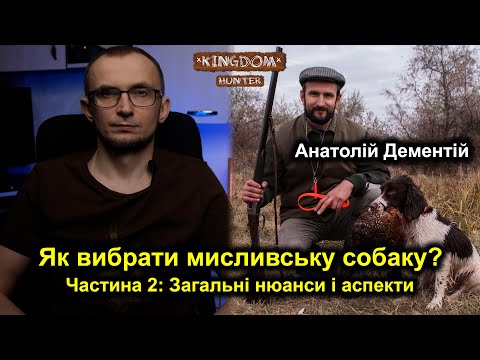 Як вибрати мисливську собаку? Частина 2: Загальні нюанси і аспекти
