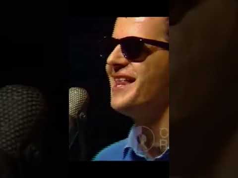 Noć je prekrasna  #shorts