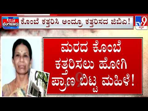 Woman Dies After Falling From Terrace While Cutting Tree Branches: ತಾನೇ ತೆರವು ಮಾಡಲು ಹೋದಾಗ ಅವಘಡ