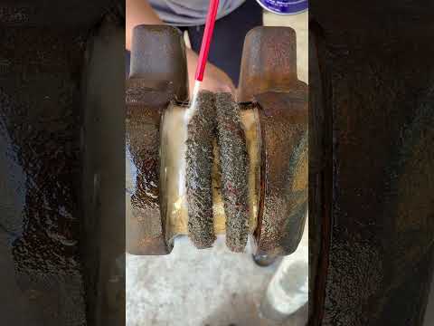 DIY crank polish using <strong>new</strong> technique😱🇺🇸 #trending #automobile #diy #<strong>usa</strong> #mechanic #trend #viral