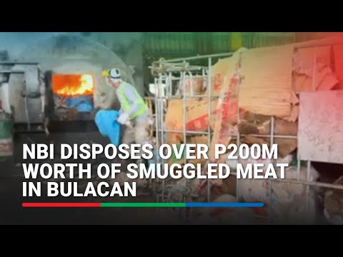 NBI disposes over P200M worth of smuggled meat in Bulacan | ABS-CBN News