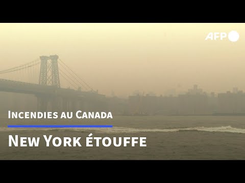 Brouillard et air irrespirable à New York à cause des incendies au Québec | AFP Images
