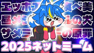 雑談配信！！『2025年をネットミームで振り返る』