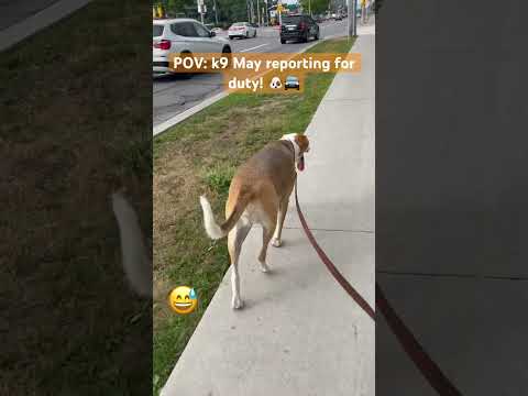 Stale cheese detected! Spoil alert 🚨