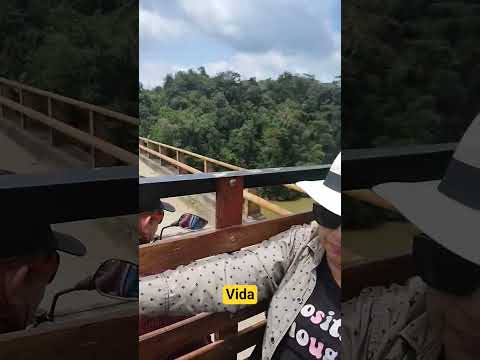 vida como te pongas te vivo