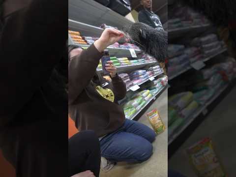 Crazy Binturong Encounter at Pet Shop!!🤯🧸🐈‍⬛
