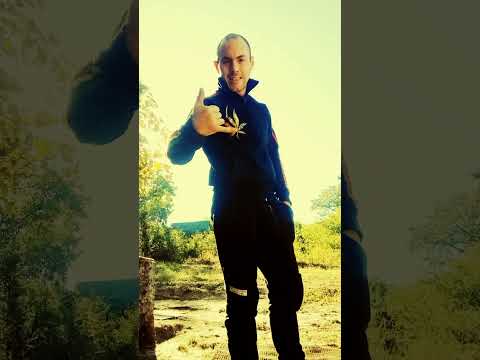 #дерзкий #тренды #подпишись