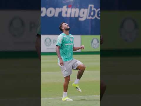 image para ilustrar o artigo