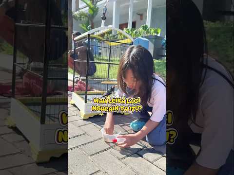 SIAPA YANG BERANI MEGANG JANGKRIK KAYA LEIKA 🫣🙀#leika #viral #trending #shorts