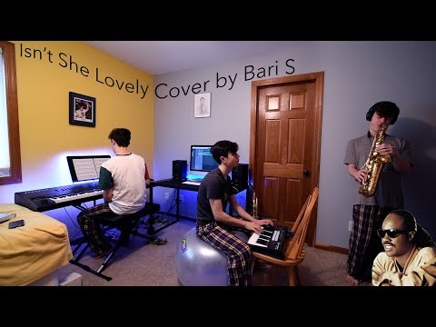 Isn't She Lovely Saxophone Cover