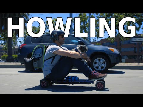 Summer Group Ride Music Video with Frankie the 🐶, feat Cartoon - Howling