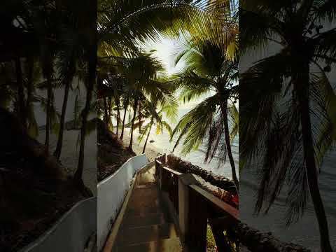 Descubriendo Honduras: Belleza que enamora ❤️🌴 #honduras #travel #nature #travelshorts