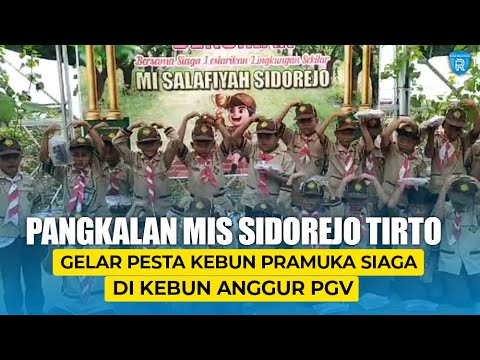 Pangkalan MIS Sidorejo Tirto Gelar Pesta Kebun Pramuka Siaga di Kebun Anggur PGV Nursery Pekalongan