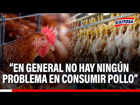 🔴🔵 Consumo de pollo no implica un riesgo, señala César Munayco: “No hay ningún problema”