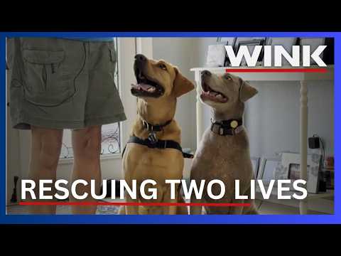 Pets for Vets fundraiser helps rescue shelter dogs, support veterans