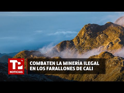 Operativos para combatir la minería ilegal en los Farallones de Cali |03.05.2024| TP Noticias