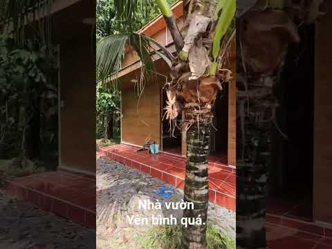 Nhà vườn yên bình quá #dangtrongnhanbds