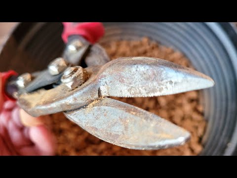 Cut bricks with scissors 10 minutes