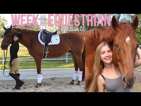 WEEK IN THE LIFE OF AN EVERY DAY EQUESTRIAN!