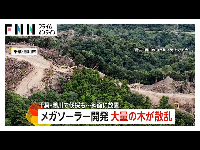 Image of Farm Tenaga Surya Raksasa Picu Penolakan karena Deforestasi