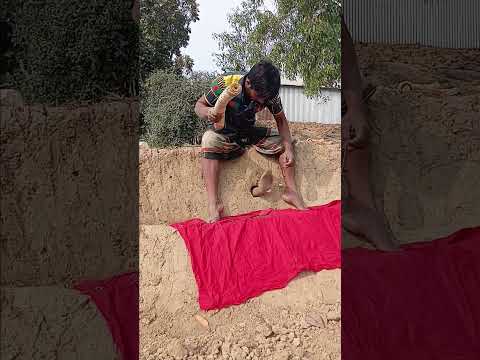 লাল কাপড় দেখিয়ে এটা কি বের হলো #shortvideo #funny #comedymovies #myvideo