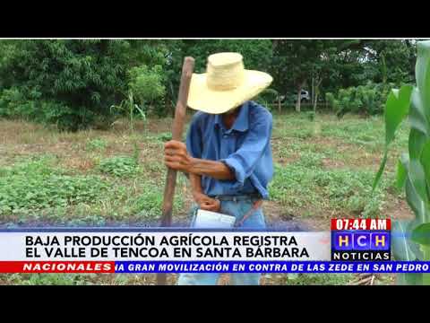 Decadente la producción agrícola en el Valle de Tencoa, Santa Bárbara