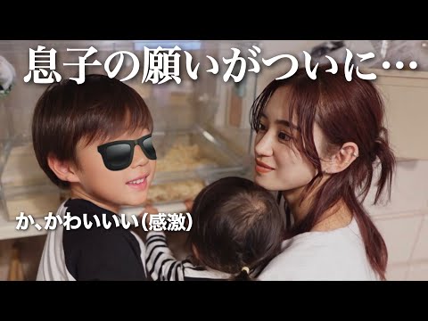 我が家に新しい家族が増えました！！【６歳と１歳が過ごす家】