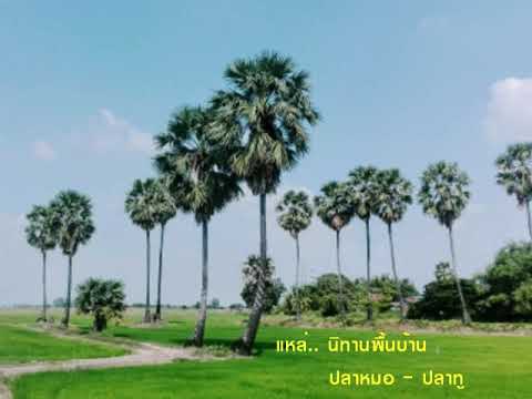 🌺แหล่..นิทานพื้นบ้านปลาหมอ-