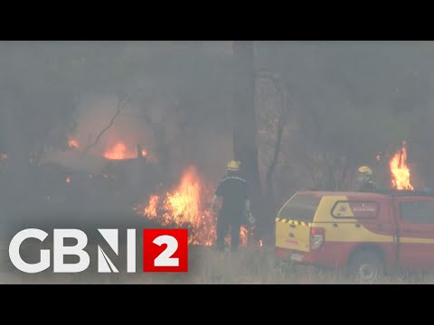 WATCH: Smoke rises over wildfire in Southern France