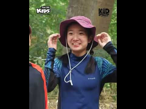 🐘 ถ้าเลี้ยงช้างดี ๆ จนเชื่อใจ จะทำแบบนี้ได้ด้วยนะ | #kidrangers #ThaiPBSKids #shorts