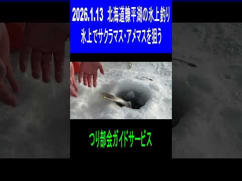 2026.1.13　北海道糠平湖の氷上釣り　北海道の氷上釣り　（氷上ワカサギ釣り場：#糠平湖・#阿寒湖・#網走湖・#置戸湖・#チミケップ湖・#金山湖・＃トイトッキ沼・＃サホロ湖）