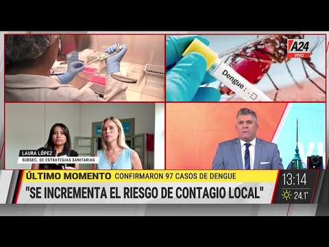 Confirmaron 97 casos de dengue en Córdoba
