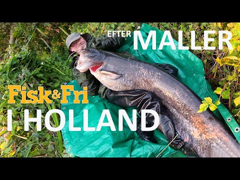 MED FLYDERING EFTER MALLER I HOLLAND [ENG SUBS]
