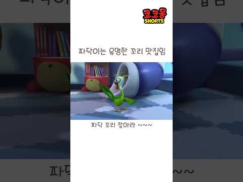 파닥이 꼬리잡기~~ #코코몽 #cocomong #shorts #쇼츠