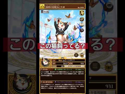 竜6で使える猫!26.09シーズンマッチ!【オセロニア】