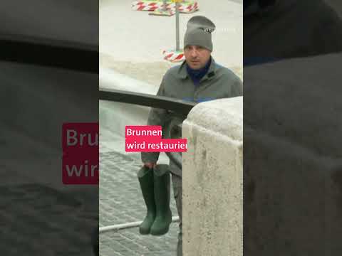 2 Millionen Euro im Trevi-Brunnen