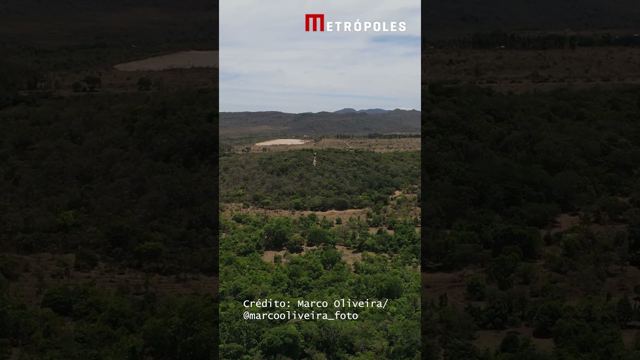 Tirolesa Voo do Gavião