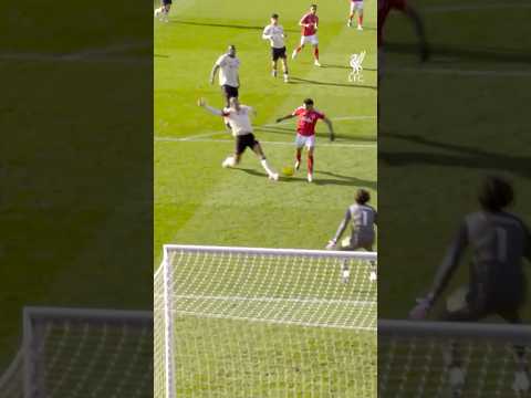 Crucial from VVD 👊